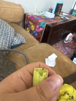 View Gallery Image #2