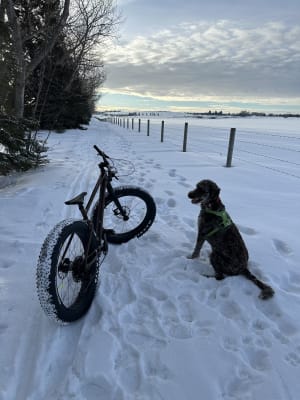Yukon 1 2022 bike Giant Bicycles Canada
