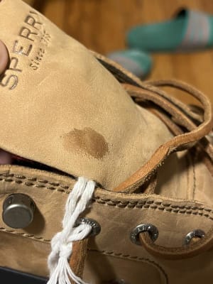 Sperry shoelaces best sale curl