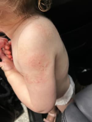 View Gallery Image #3