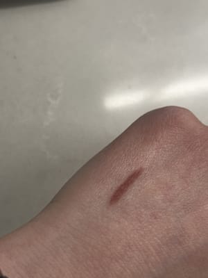 View Gallery Image #11