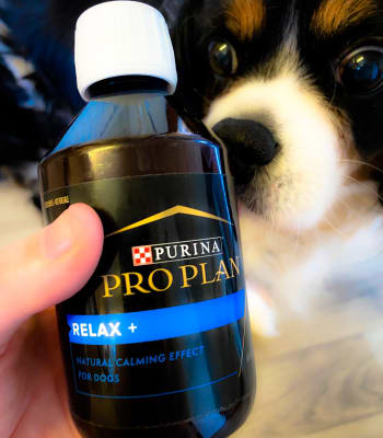 Pro Plan Adult and Senior Dog Relax Supplement Oil 250ml