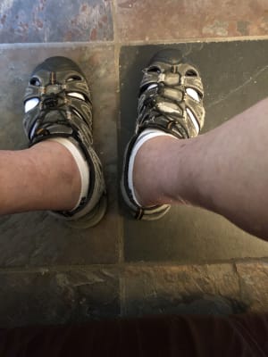 Teva forebay review 2025