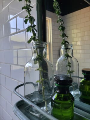 View Gallery Image #1