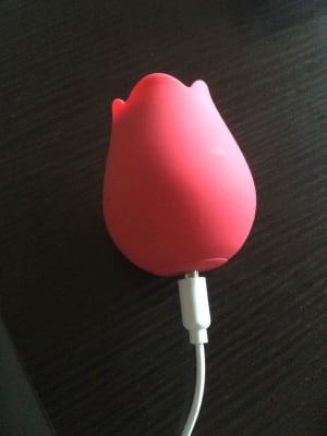View Gallery Image #3