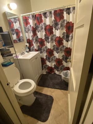  IJQRVJ Las Vegas,Shower Curtain Set,I Love Las Vegas,Bathroom  Curtain for Toilet,Red Black,60x72in(152x183cm) : Home & Kitchen