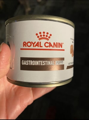 Royal canin gastrointestinal puppy wet hotsell