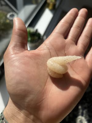 View Gallery Image #8