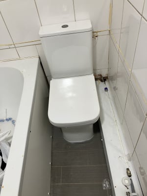Wickes toilet store
