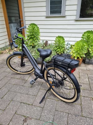 Lafree electric bike review top
