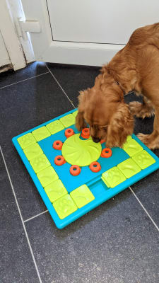 MultiPuzzle Interactive Dog Treat Puzzle Toy, Blue