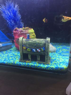 Krusty krab outlet aquarium ornament
