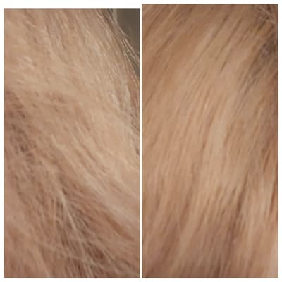 View Gallery Image #7