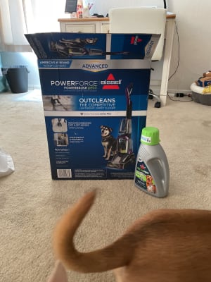 PowerForce™ PowerBrush Pet 2910 