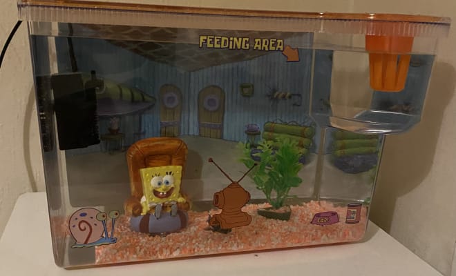 SpongeBob Squarepants Home Aquarium Kit 15 Litre