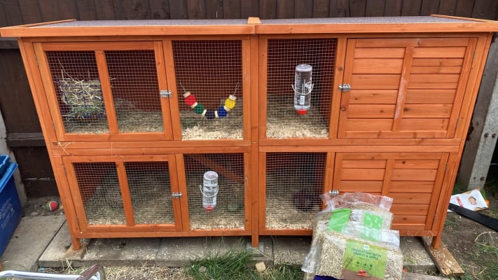 Bluebell hideaway rabbit best sale hutch