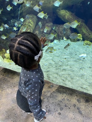 View Gallery Image #8