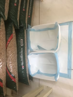 cesar millan training pads