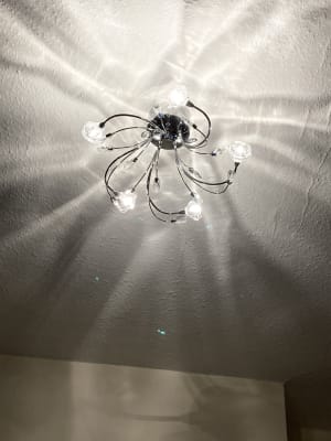 5 flower store ceiling light