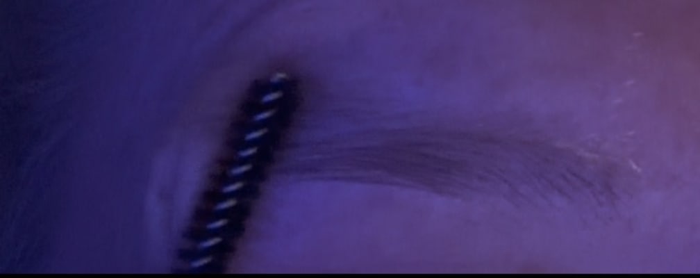 View Gallery Image #9