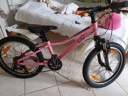 Vtt Fille Vtt 20 Pouces Rose Vtt Fille Ans Kids Bike Velo Enfants
