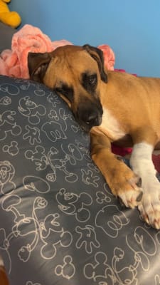 View Gallery Image #6