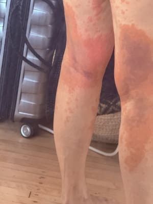 View Gallery Image #4