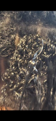 View Gallery Image #10