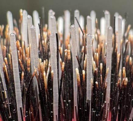 View Gallery Image #1