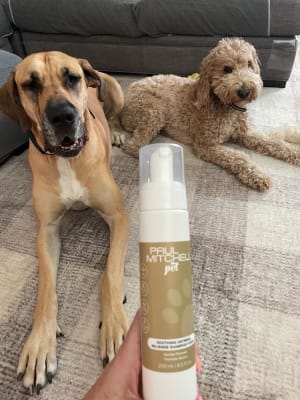 View Gallery Image #4