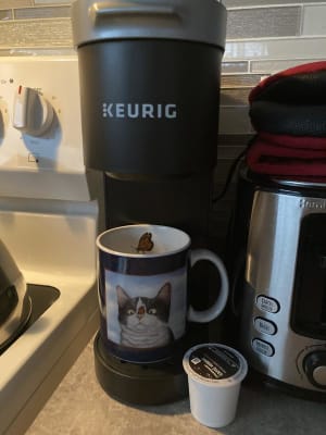 Keurig Green Mountain 5000200239 K-Mini 