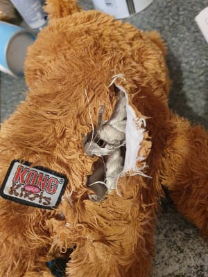 Kong Wildknots Bear Dog Toy X Large Pets At Home