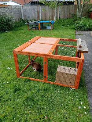 Pets at Home Folding Guinea Pig Run 4ft Pets At Home
