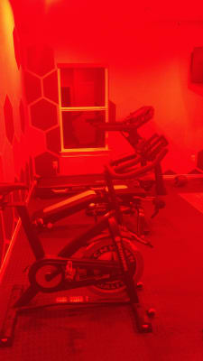 Bowflex bt116 hotsell