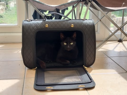 Quilted cheap cat carrier