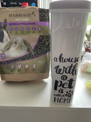 Dog food container pets at home sale