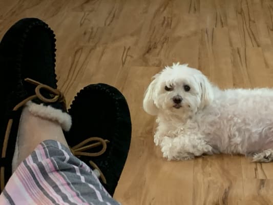 Dakota Slipper | UGG® Official