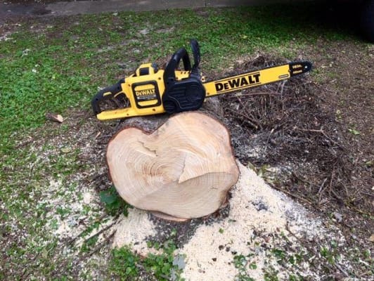 Battery Powered Chainsaw 