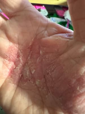 View Gallery Image #8