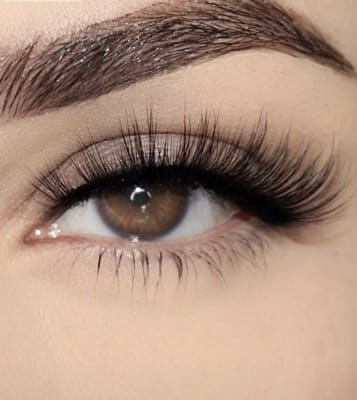 View Gallery Image #3