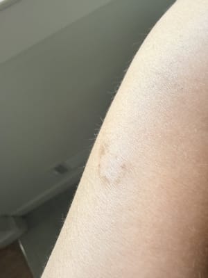 View Gallery Image #4