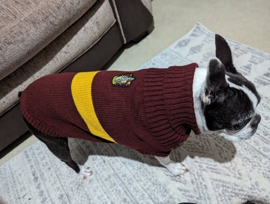 Gryffindor deals dog sweater