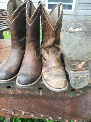 Ariat unbridled roper discount