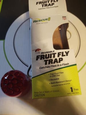 Rescue Fruit Fly Trap [5 ct]