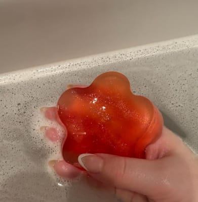 View Gallery Image #11