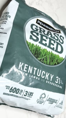 Kentucky 31 Tall Fescue - Grass Seed | Pennington