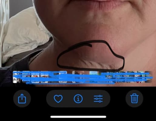 View Gallery Image #9