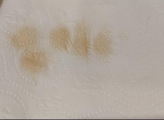 View Gallery Image #5