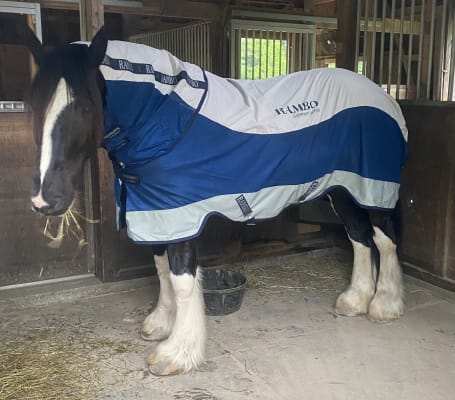 Horseware Ireland Svettäcke Rambo airmax Cooler Horseware Ireland Svettäcke Rambo airmax Cooler