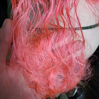 View Gallery Image #12